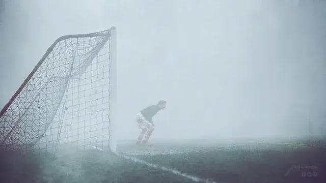 Spectator Saves the Day as Goalkeeper