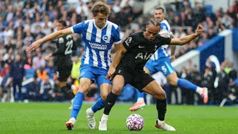 Brighton and Spurs in Action