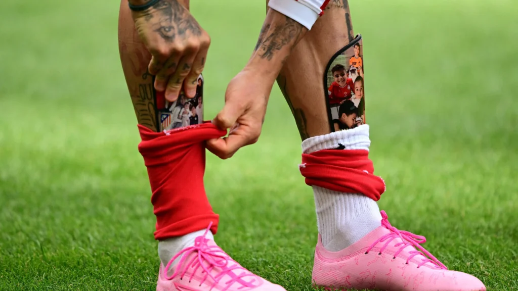 Shin Pads