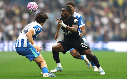Tottenham Brighton Match Action