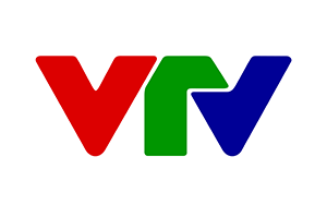 Vietnam Satellite Television
